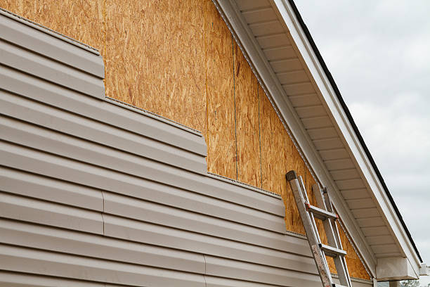 Professional Siding Inspection technician working in Wellington, CO